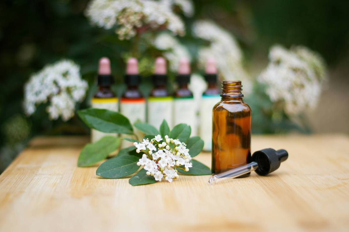 Infographic showing safe essential oil dilution ratios for body care: 1% = 6 drops per ounce, 2% = 12 drops per ounce, with color-coded warning icons for photosensitizing oils like bergamot